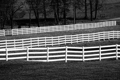 Fence Lines
