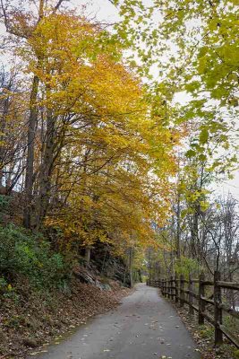 The Trestle Bridge Trail in Fall