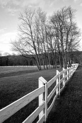 Early Winter Fence Line