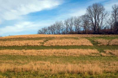 A Beautiful Chester County Hillside
