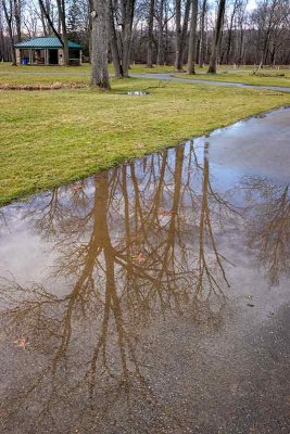 Puddles in the Park