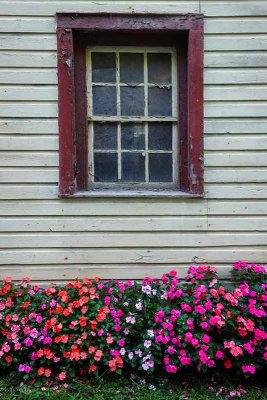 An Old Window and Roadside Flowers