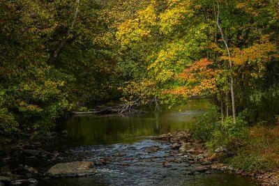 Early Autumn Color Along the Brandywine