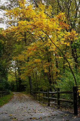 Early Autumn Color on the Struble Trail