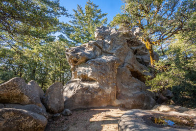 20 Castle Rock State Park's namesake