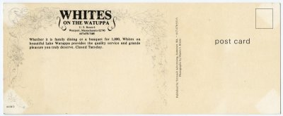 Whites on the Watuppa reverse