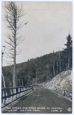 Tall Spruce and Steep Banks on Eastern Hillside.  Mohawk Trail. Copr. 61 