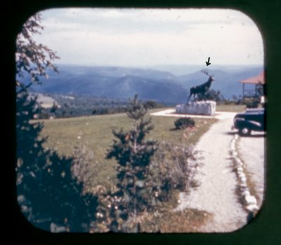 From Whitcomb Summit, The Mohawk Trail, View-Master Reel no. 268