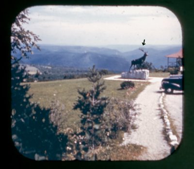 From Whitcomb Summit, The Mohawk Trail, View-Master Reel no. 268 