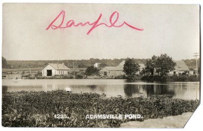1235. Adamsville Pond. - Sample