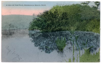 A View of the Pond, Horseneck Beach, Mass.