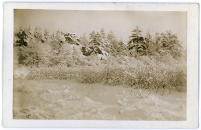 655 Winter Scene. Westport Mass. Dec 21 1910.jpg