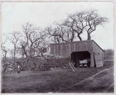 woodshed on John Howland's Farm wpthist.jpg