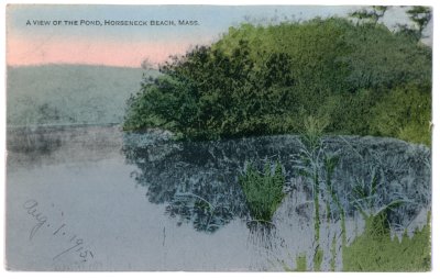 A View of the Pond, Horseneck Beach, Mass..jpg