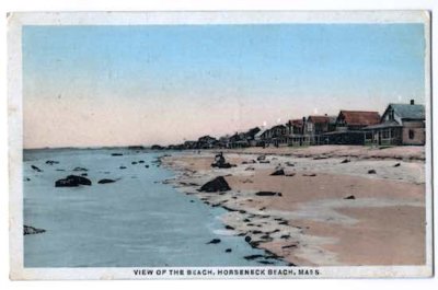 View of the Beach, Horseneck Beach, Mass. (wpthist Holden album)