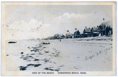 View of the Beach, Horseneck Beach, Mass.