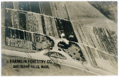 Franklin Forestry Co. Shelburne Falls, Mass. (repro scan)