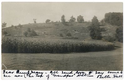 The Top of Grandpas Hill Buckland