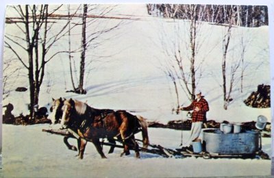 Gould's Sugar House, Gathering the sap for pure maple products ebay