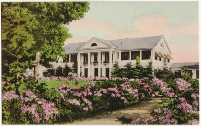 Mountain Laurel Sweet Heart Tea House ebay