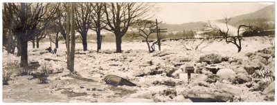 Ice Flood Charlemont King VII
