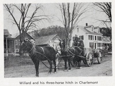 Willard and his three-horse hitch in Charlemont
