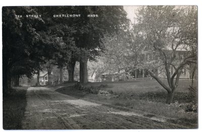 Tea Street Charlemont Mass