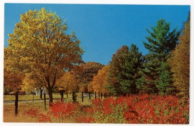 Riot of Color on the Famous Mohawk Trail near Yankee Doodle Town Charlemont, Mass.