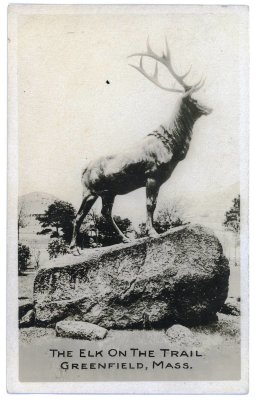 Whitcomb Summit Elk & Indian