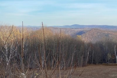Where the Massachusetts and Vermont Hills Meet Nov 2020