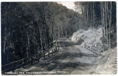 Through the Tall Trees - Mohawk Trail. Copr. No. - 41