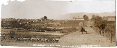 Bald Hill stitched pano