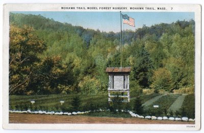 Mohawk Trail Model Forest Nursery, Mohawk Trail, Mass. 7