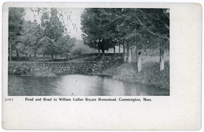 Pond and Road to William Cullen Bryant Homestead, Cummington, Mass. 