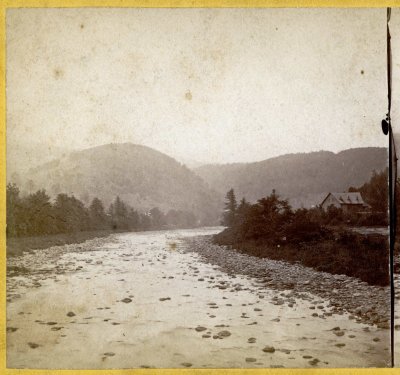 Looking up the Deerfield - Version 2.jpg