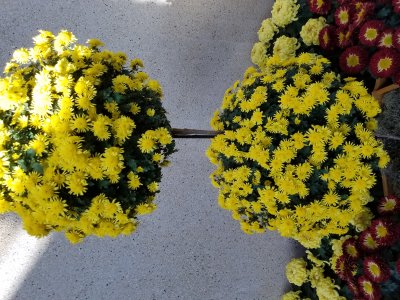 20191109_133122.jpg