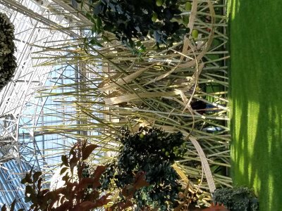 20191109_133233.jpg