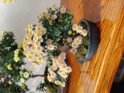 20191109_134600.jpg