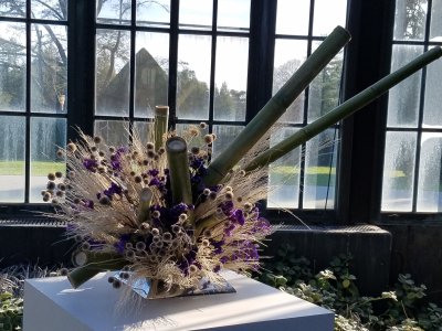 20191109_135007.jpg
