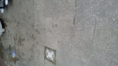 20191109_135347.jpg