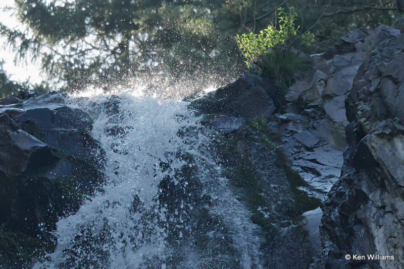 Treasure Falls, Pagosa Springs, CO, 7-10-21_23042a.jpg