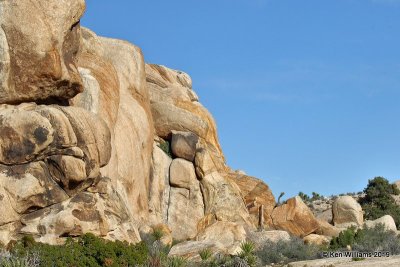 Scenery, Joshua Tree NP, CA, 3-19-19, Jpa_88006.jpg