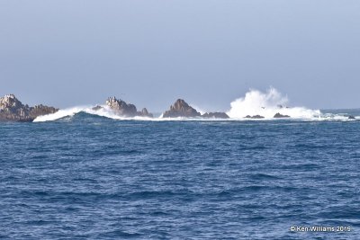 Scenery, Monterey, CA, 3-24-19, Jpa_91218.jpg