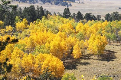 Fall Foliage, South of Aspen, CO, 10-1-19, Jz_41265.jpg