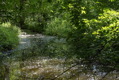 Chemin d'eau