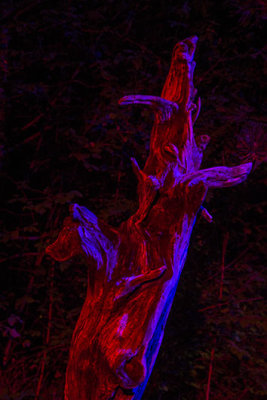 g12/99/1255699/3/170962919.Bg63OSZD.jpg