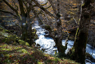 Vallée du Riberot