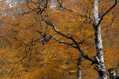 Vallée du Riberot