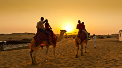 Camel Ride in Abu Dhabi Desert