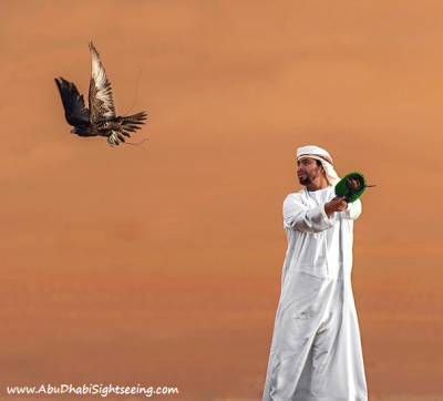Falcon Show in Abu Dhabi Desert Safari